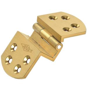 Brass Hinges
